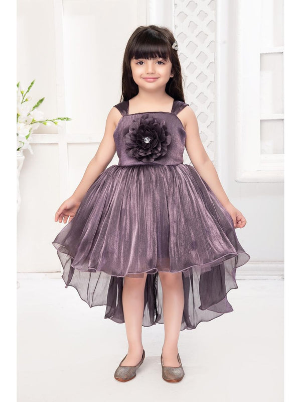 Baby Proud barburry Chiffon Tissue Net Frock Flower Applique