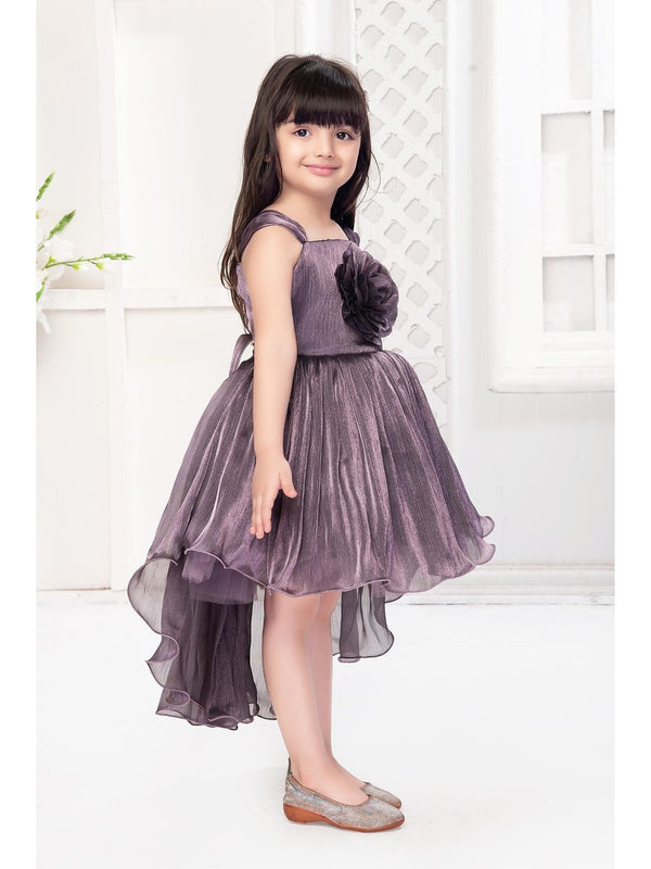 Baby Proud barburry Chiffon Tissue Net Frock Flower Applique