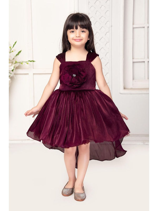 Baby Proud barburry Chiffon Tissue Net Frock Flower Applique