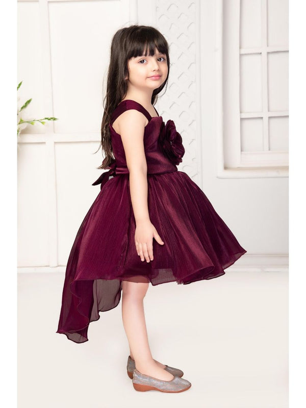 Baby Proud barburry Chiffon Tissue Net Frock Flower Applique